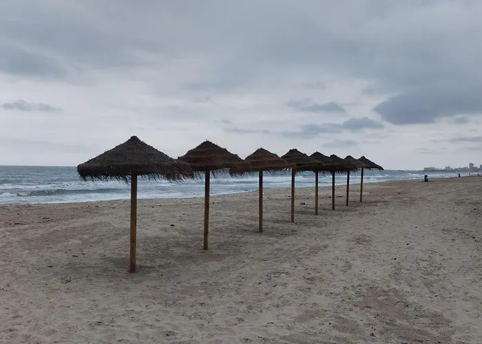 Estudio Ana De Monaco La Manga
